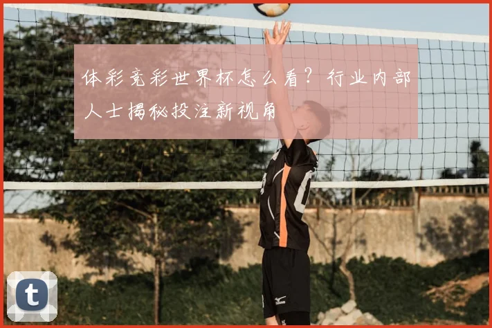 体彩竞彩世界杯怎么看？行业内部人士揭秘投注新视角