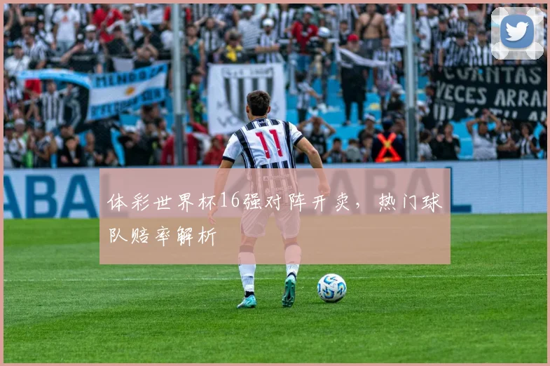 体彩世界杯16强对阵开卖，热门球队赔率解析