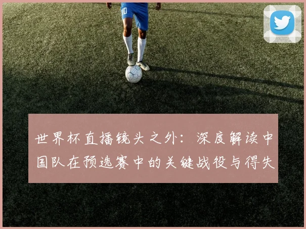 世界杯直播镜头之外：深度解读中国队在预选赛中的关键战役与得失