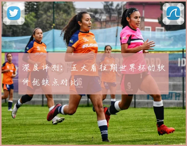 深度评测：五大看往期世界杯的软件优缺点对比